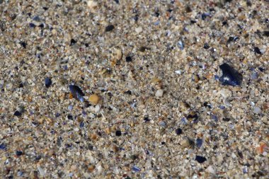 kum duvar dokusu arka plan