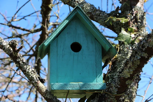 Zielony domek dla ptaków w drzewie — Zdjęcie stockowe