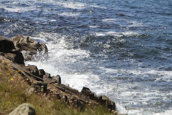 海浪压碎在海岸上 — 图库照片