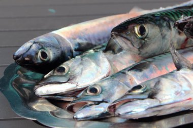 Uskumru kalaylı bir tabak üzerinde