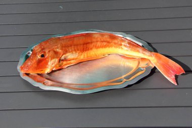 Kırlangıç kalaylı bir tabak üzerinde