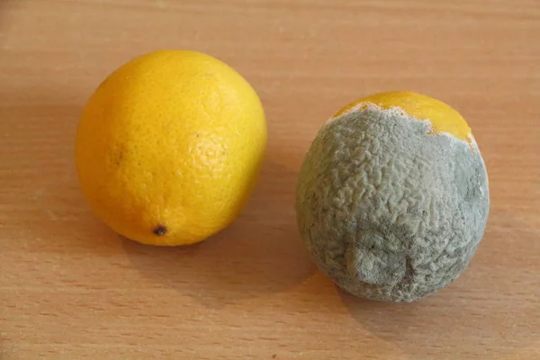 Lemon merah dan lemon segar — Stok Foto