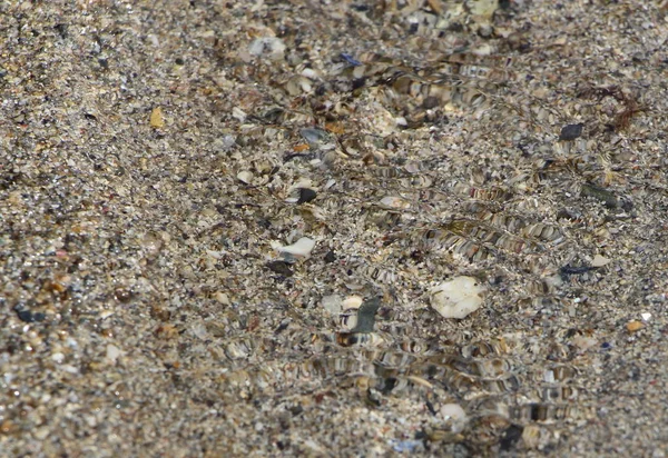 stock image Water flowing on sand