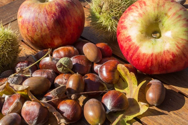 Kestane, kabuğu, apple, meşe palamudu ve meşe yaprakları