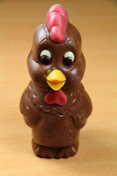 Choklad kyckling till påsk — Stockfoto