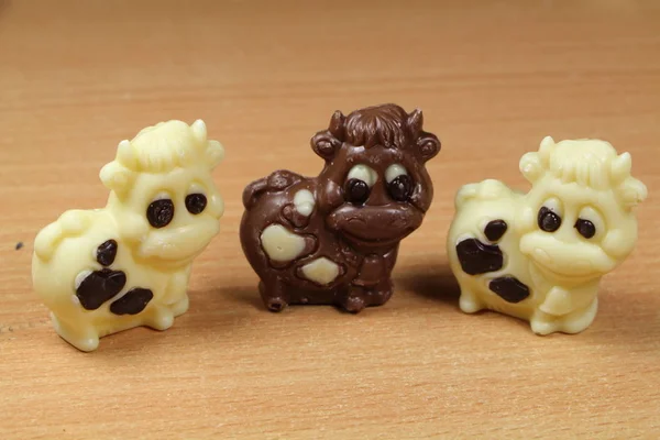 Chocolate cows for easter — Stock Photo, Image