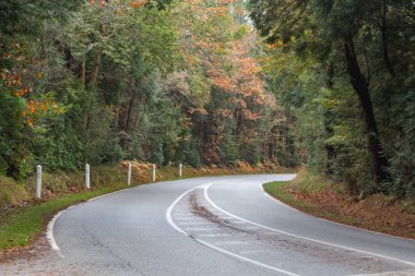 yol Güz