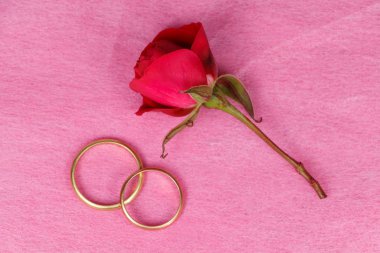 iki alyans ve kırmızı gül