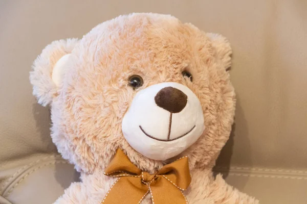 Teddy bear on a sofa — Stock Photo, Image