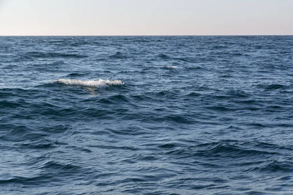 Atlantic ocean in Brittany — Stock Photo, Image