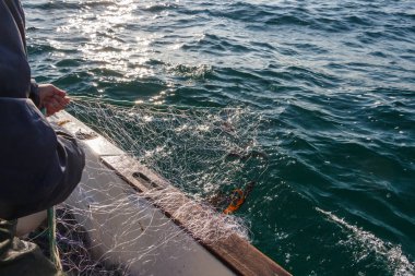 Balıkçı bir tekneyle ağla geri dönüyor.