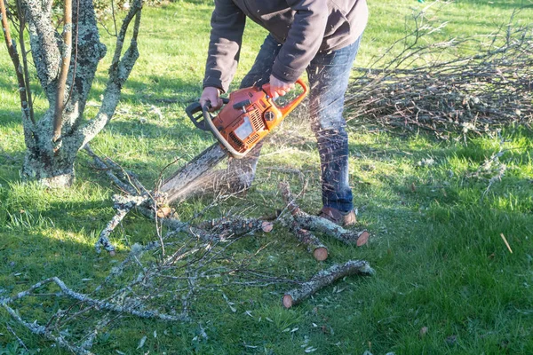 Lumberjack cutting branch with a chain saw — Stock Photo, Image