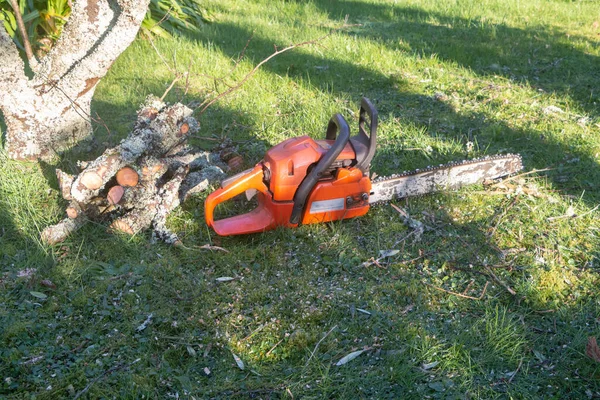 Chain saw and cut branches in a garden after trimming a tree