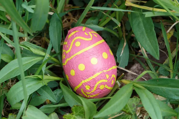 Huevo Chocolate Envuelto Papel Colores Escondido Hierba Para Pascua —  Fotos de Stock