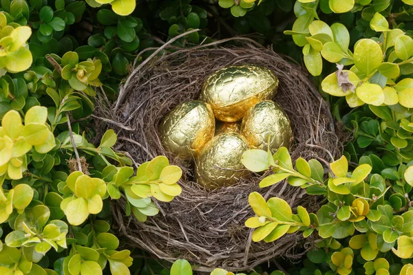 Nido Con Huevos Chocolate Envueltos Papel Dorado Para Pascua —  Fotos de Stock