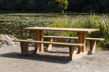 Parktaki gölün yakınındaki ahşap piknik masası.