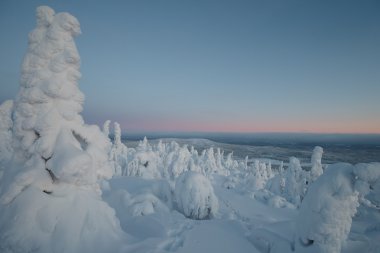 lapland, kış manzarası