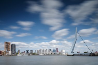 Erasmus bridge Rotterdam 