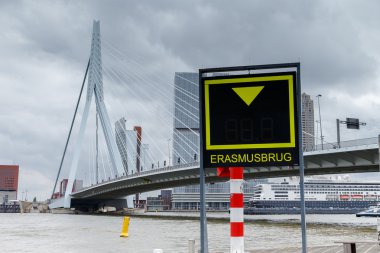 Erasmus bridge Rotterdam 