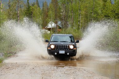 Yeşil orman arabaya