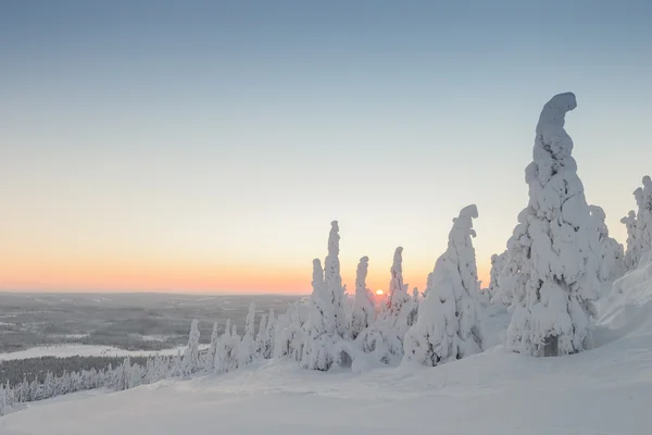 Winterlandschap in lapland — Stockfoto