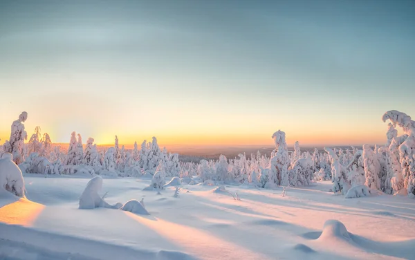 lapland, kış manzarası