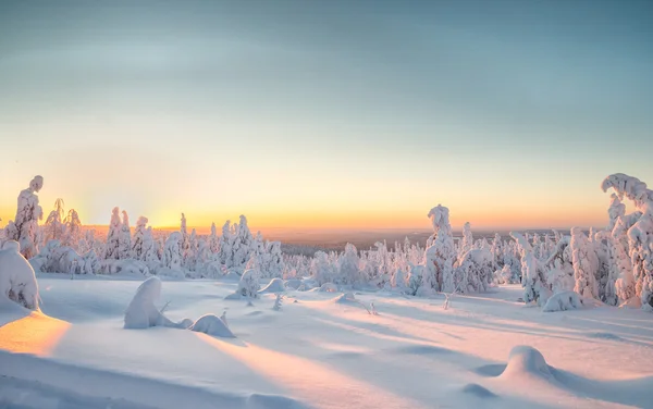 Paesaggio invernale in Lapponia — Foto Stock