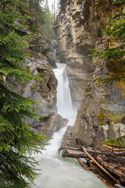 River flow at Johnson canyon — Stock Photo, Image