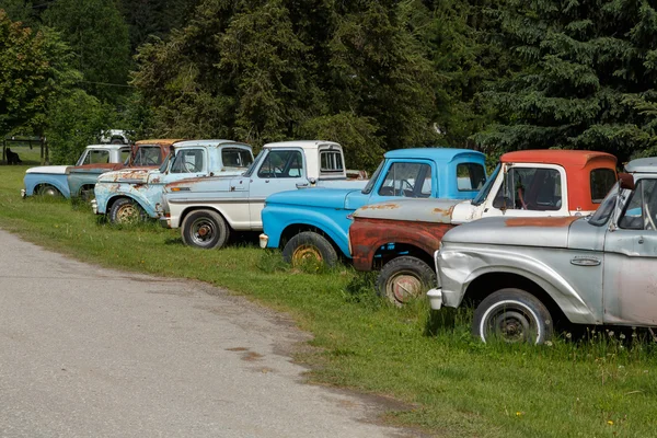 Carros velhos na floresta verde — Fotografia de Stock