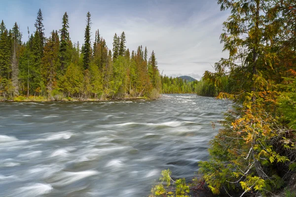 River flow at Johnson canyon — Stock Photo, Image