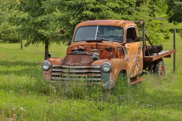 Old car in green forest — Stock Photo, Image