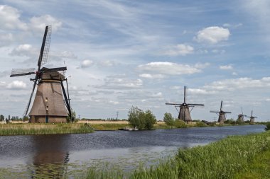 tipik bir Hollandalı peyzaj eski yel değirmenleri