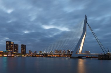 Erasmus bridge Rotterdam