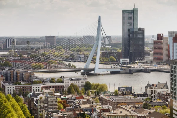 Erasmusbrücke Rotterdam — Stockfoto