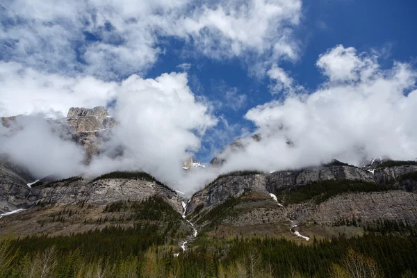 Ghiacciaio sulle montagne rocciose , — Foto Stock