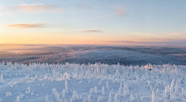 lapland, kış manzarası