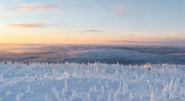 Winterlandschap in lapland — Stockfoto