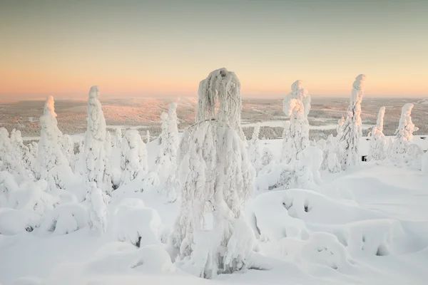 Paisagem de inverno na Lapônia — Fotografia de Stock