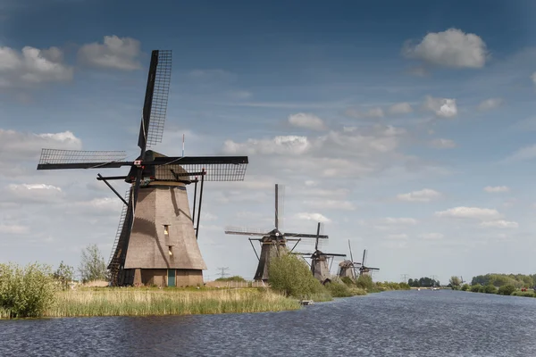 Viejos molinos de viento en un paisaje típico holandés — Foto de Stock