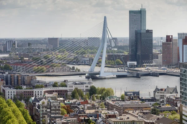 Erasmusbrücke Rotterdam — Stockfoto