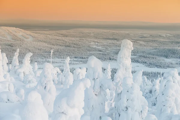 Zimní krajina v Laponsku — Stock fotografie