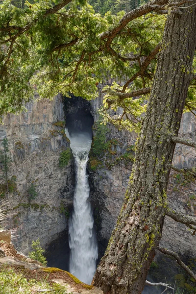 Cañón cerca de Spahats Falls —  Fotos de Stock