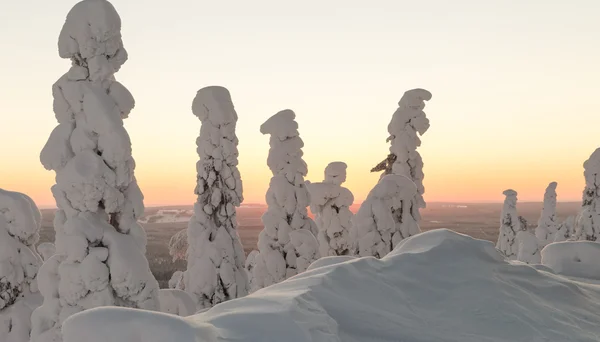 Winter landscape at lapland — Stock Photo, Image