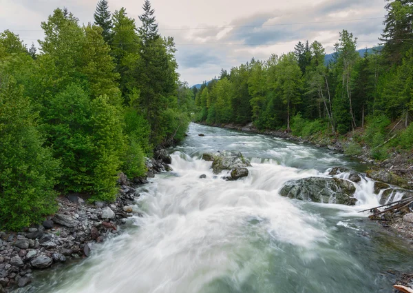 Waterfall near the Pacific Rim Highway — Stock Photo, Image