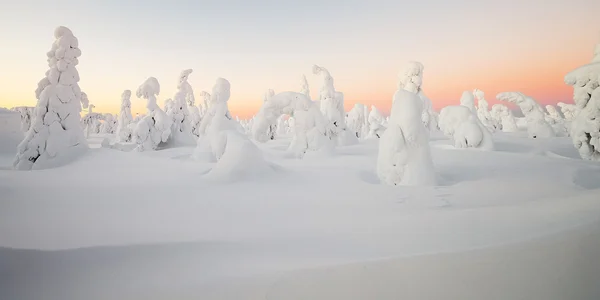 Zima Krajobraz w Laponii — Zdjęcie stockowe