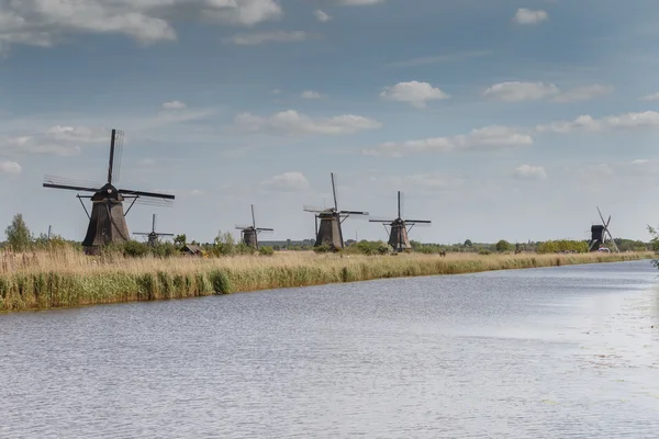 Viejos molinos de viento en un paisaje típico holandés — Foto de Stock