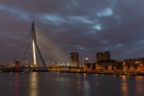 Erasmus Bridge Rotterdam — Zdjęcie stockowe