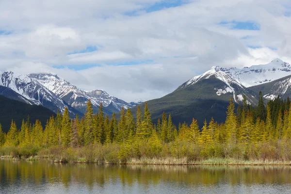 Скалистая гора, взятая из голубой реки Канады — стоковое фото