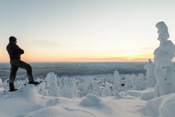 Árvores cobertas de neve na Lapônia — Fotografia de Stock