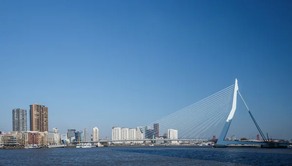 Міст Еразм Роттердамський — стокове фото